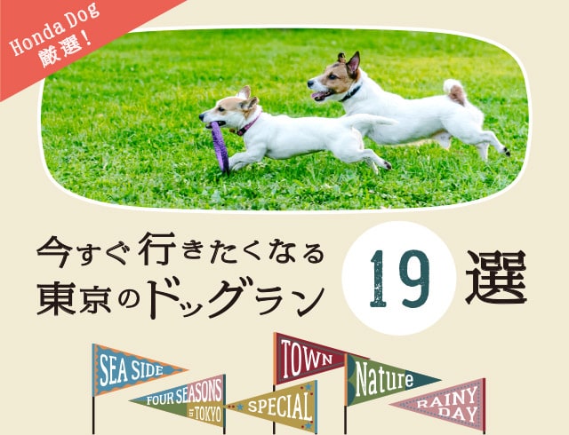 Honda Dog厳選！今すぐ行きたくなる、東京のドッグラン19選