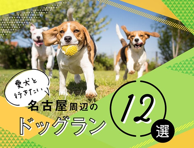 愛犬と行きたい、名古屋周辺のドッグラン12選