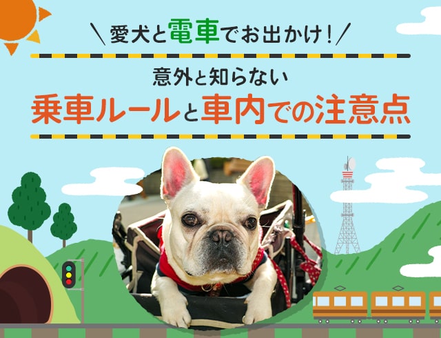 わんこと一緒に楽しいおでかけを Honda Dog