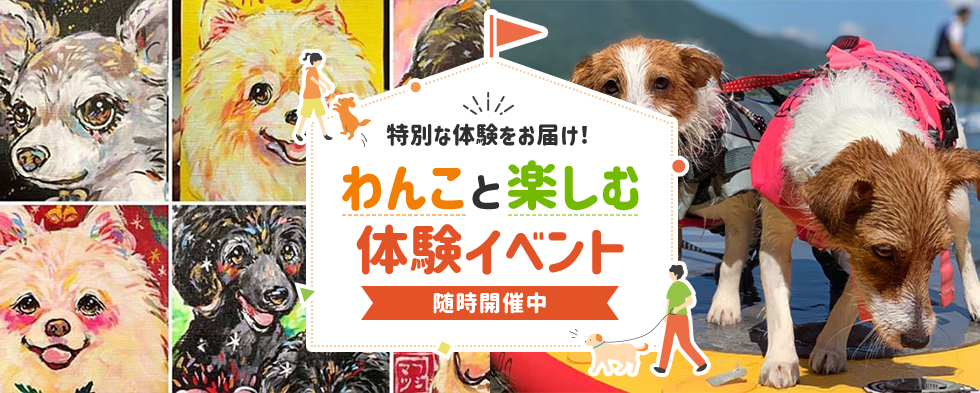 特別な体験をお届け！ わんこと楽しむ体験イベント 随時開催中