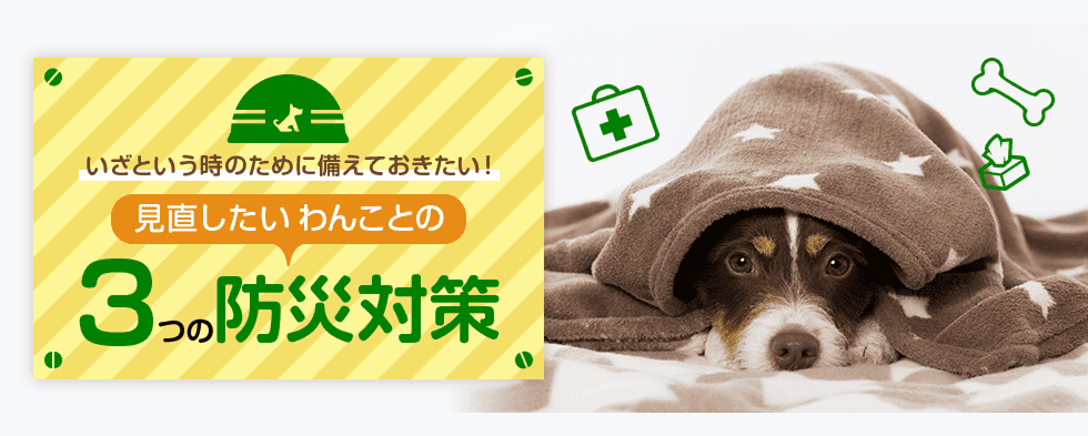 いざという時のために備えておきたい！見直したいわんことの３つの防災対策