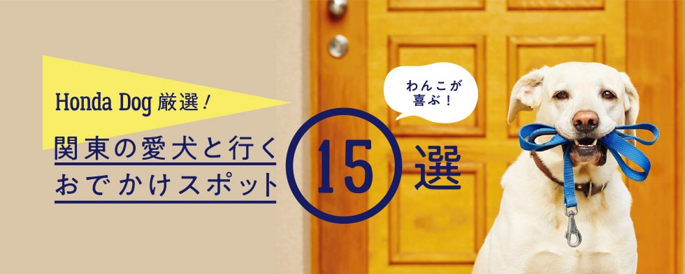 Honda Dog厳選！わんこが喜ぶ！関東の愛犬と行くおでかけスポット15選