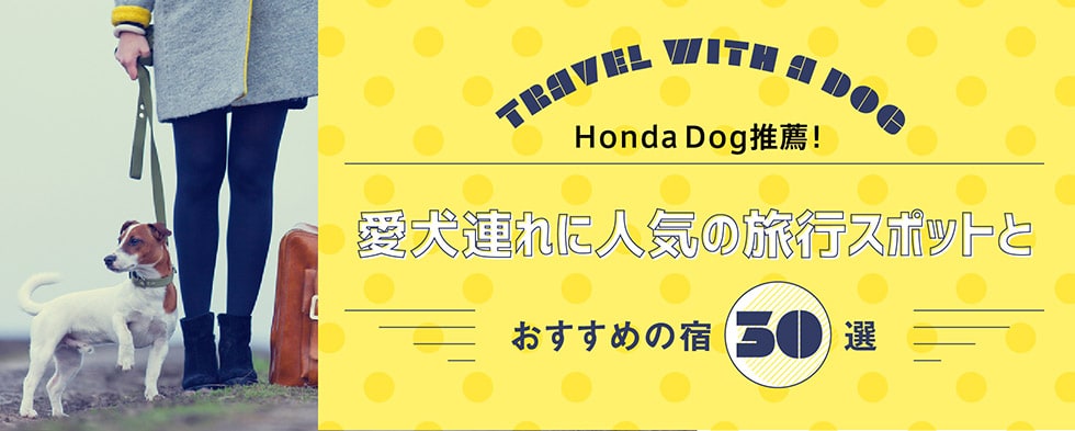 Honda Dog推薦！愛犬連れに人気の旅行スポットとおすすめの宿30選