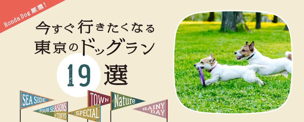 Honda Dog厳選！今すぐ行きたくなる、東京のドッグラン19選