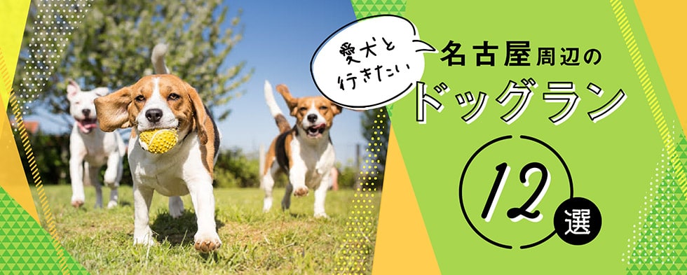 愛犬と行きたい、名古屋周辺のドッグラン12選