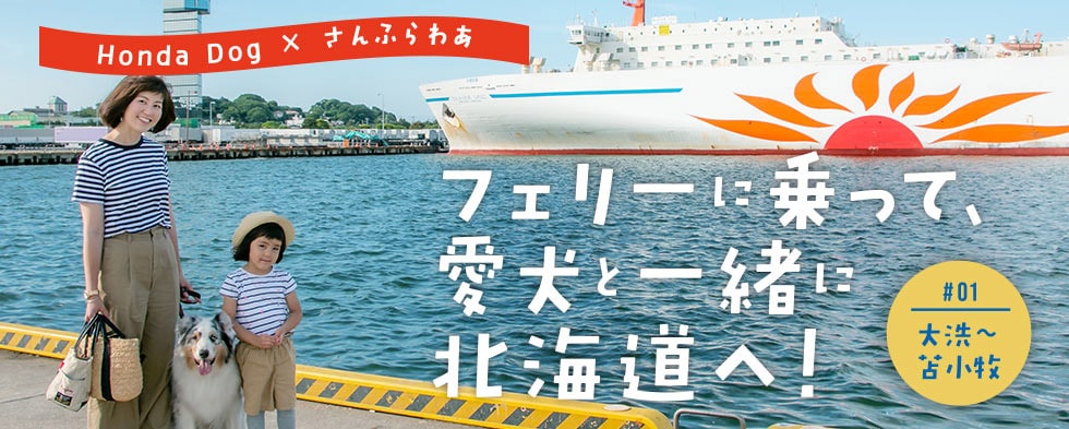 フェリーに乗って愛犬と一緒に北海道へ！