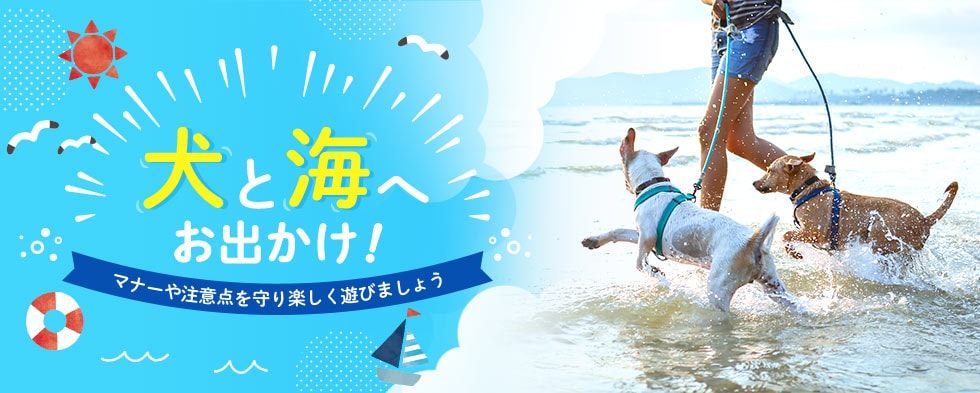 わんこと一緒に楽しいおでかけを Honda Dog わんこと一緒に楽しいおでかけを Honda Dog