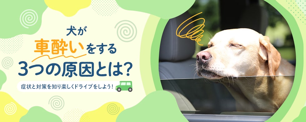 わんこと一緒に楽しいおでかけを Honda Dog わんこと一緒に楽しいおでかけを Honda Dog