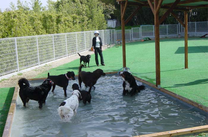 プールでじゃばじゃば遊べて気持ちよさそう！