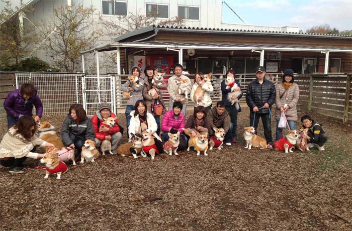 「同犬種のつどい」など楽しいイベントも企画していますよ！