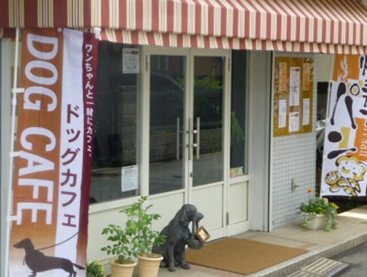 ドッグもokなカフェ Accuei ドッグカフェ ペット同伴okの飲食店情報 Honda Dog Honda