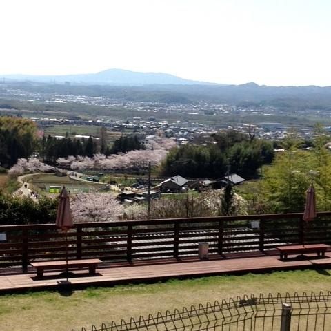 4月には、さくらまつり開催、川沿いの桜が見渡せるロケーションです。