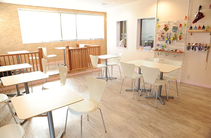 暖かい日差しが差し込む、明るい店内。わんこグッズの販売もあります。