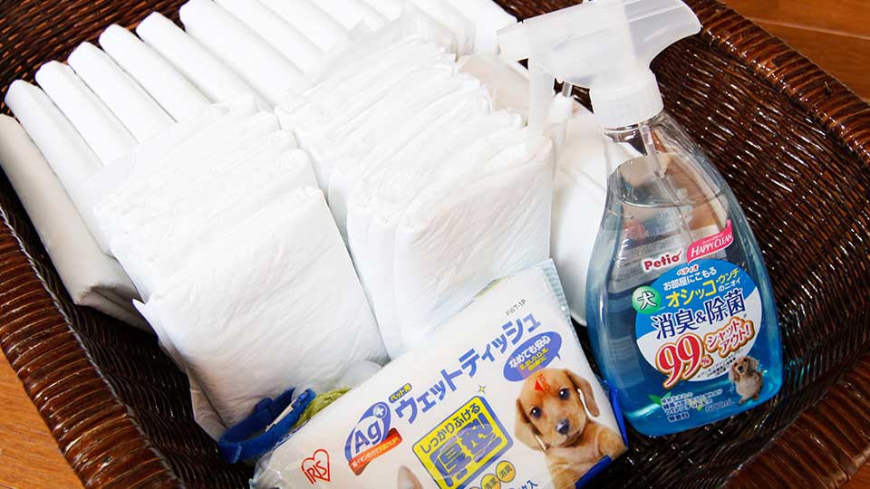 消臭剤、粘着ローラー等、わんちゃん用品を完備しております