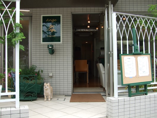 住宅街に佇む、居心地も味も満点のカフェ