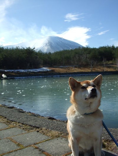 浅間山をバックに記念写真はいかが？