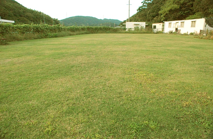約500坪の広々とした、日本唯一の飛行犬撮影用ドッグラン。