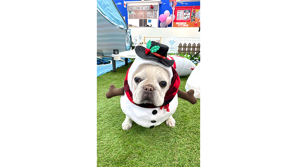 看板犬のベル店長