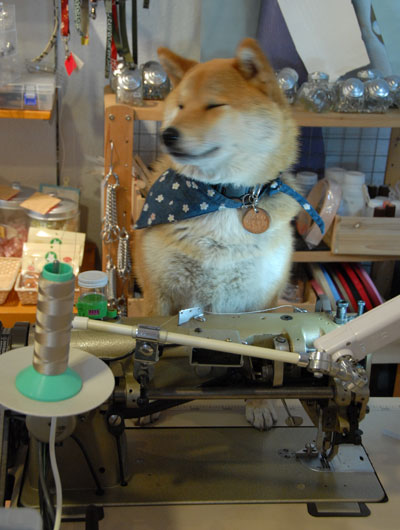 和風犬具に、バンダナもあります。