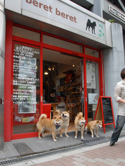親子3代の看板犬たち。みんな、遊びにきてね！