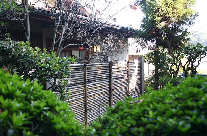 ばべの木に囲まれた宿。四季折々、さまざまな表情を楽しめる庭園があります。