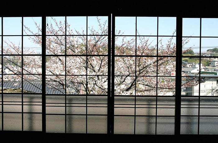 春は窓から桜を楽しめますよ。