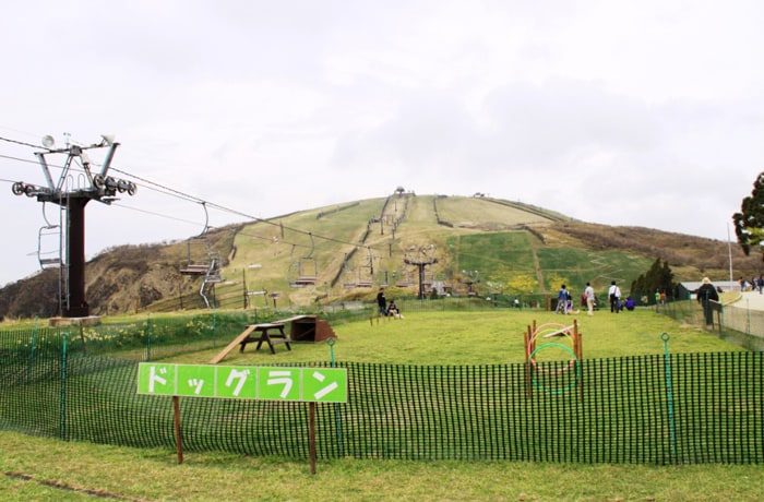 ロープウェイの山頂駅を降りたところに、ドッグランがあります。