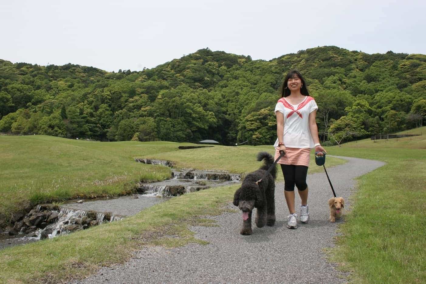 芝生のドッグランがあります。