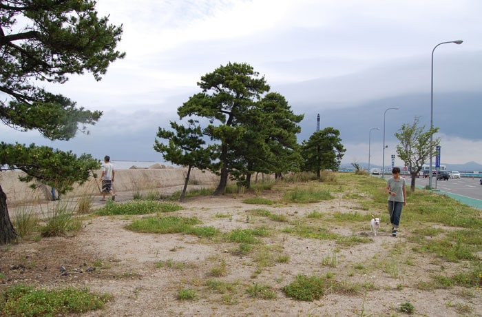 青森フェリーターミナルにある緑地。乗船前や下船後、こちらでひと休みしてはいかが。