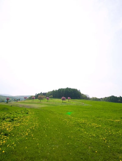 一面が天然野芝。わんこと一緒に走り回りましょう。