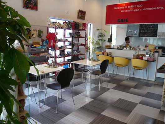 ポップな雰囲気の店内は、日差しがたっぷり入り、とても明るく清潔感があります。