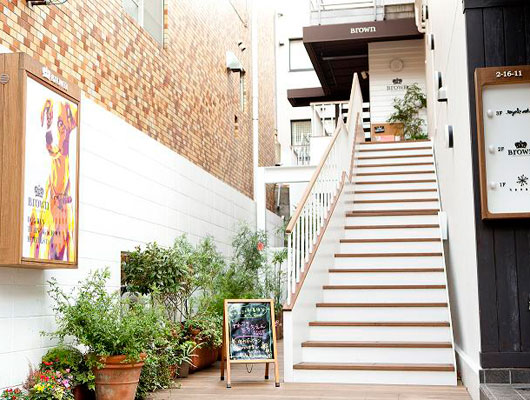 目黒川の景色を眺めながら、お友達ワンコと楽しく遊ぼう！