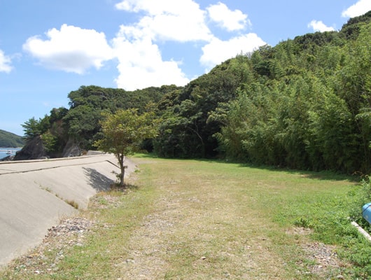 海沿いには、芝生のキャンプサイトがあります。