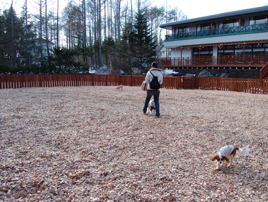 ウッドチップのドッグラン。小型犬用と全犬種用に分かれています。