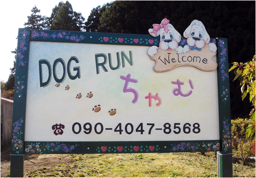 自然豊かなロケーションで会話も弾む天然芝ドッグラン