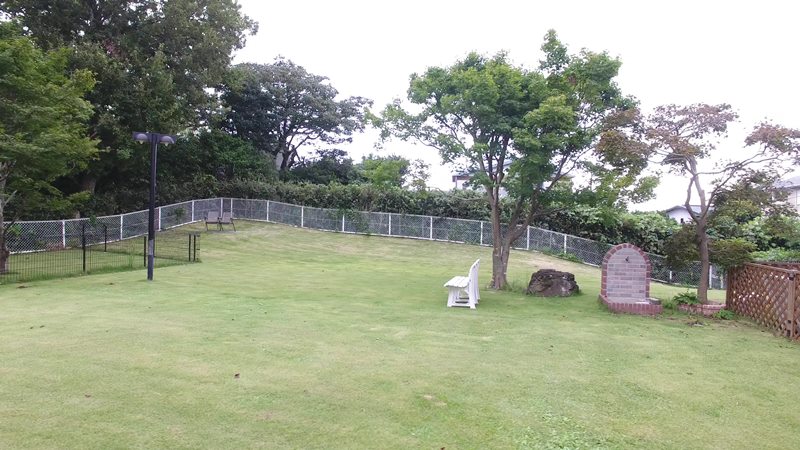 宿にはワンちゃん大喜びの広い芝生があります！