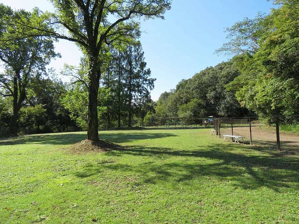 市民公園の中の緑のドッグラン。いろんな動物たちにも会える！