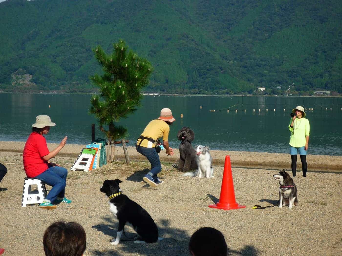 湖畔近くでワンちゃんも大喜び！