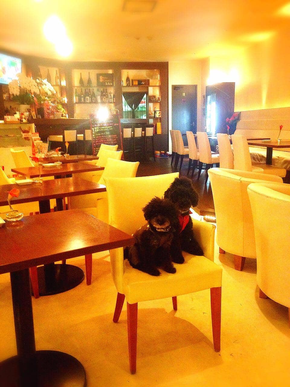 おしゃれな店内。夜になるとライトダウンして大人のムードに。