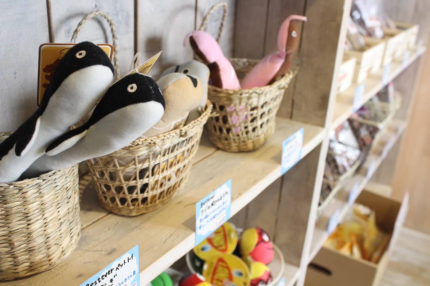 店内ではわんこのおもちゃなどのグッズも販売中！