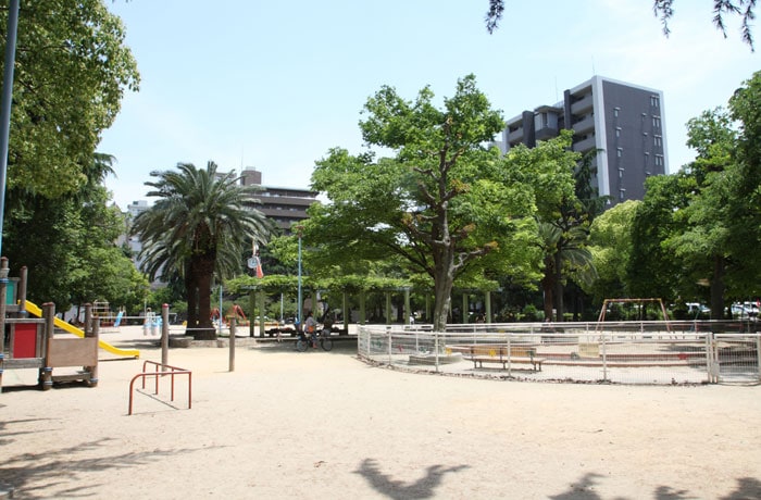 近くには、緑豊かな公園があります。