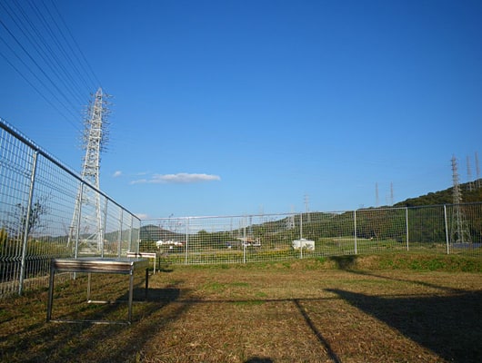 珈琲gou ドッグラン 愛知県 おでかけ情報 Honda Dog Honda 珈琲gou ドッグラン 愛知県 おでかけ情報 Honda Dog Honda