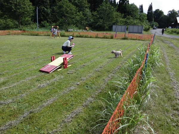 アスレチックなどの遊具が充実しています。