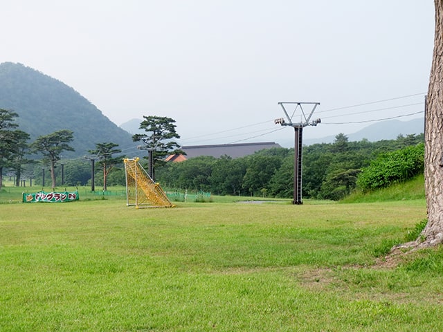 宿のすぐ近くには約1,200平方メートルある広大な無料ドッグランがあります。