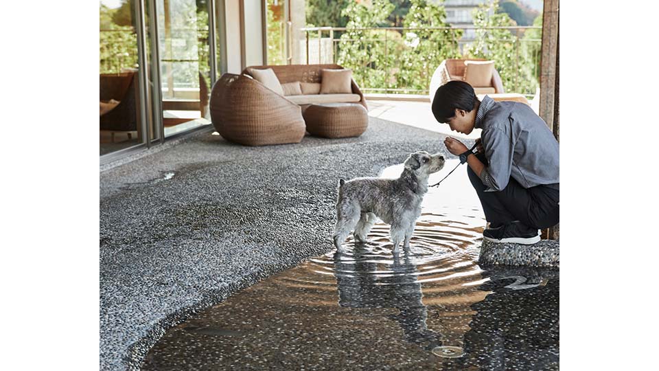 愛犬専用の足湯のある『湯ノ庭』