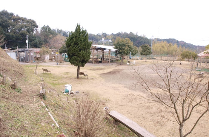 850平方メートルの広々フリー広場。