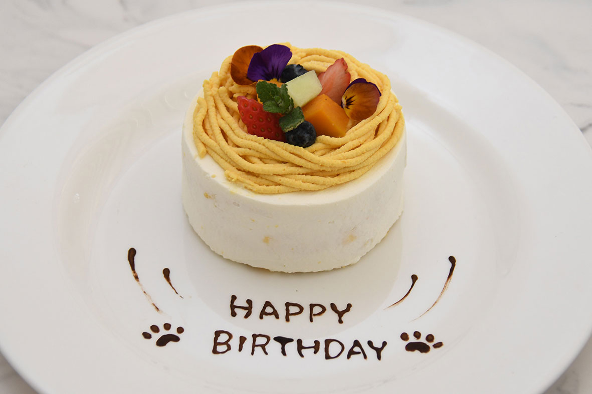 愛犬のお誕生日ケーキもオーダーできちゃいます！（要予約）