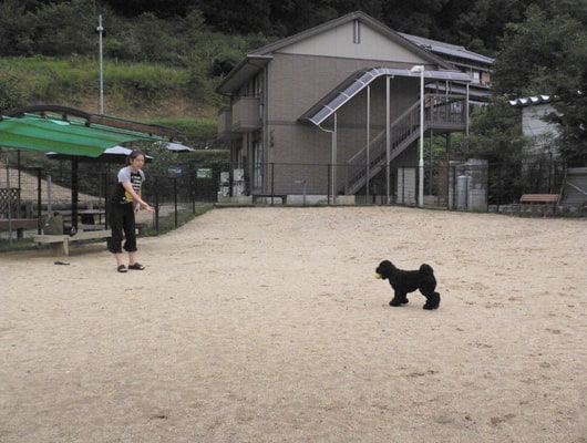 150坪のドッグランで、わんこと一緒に遊びましょう。