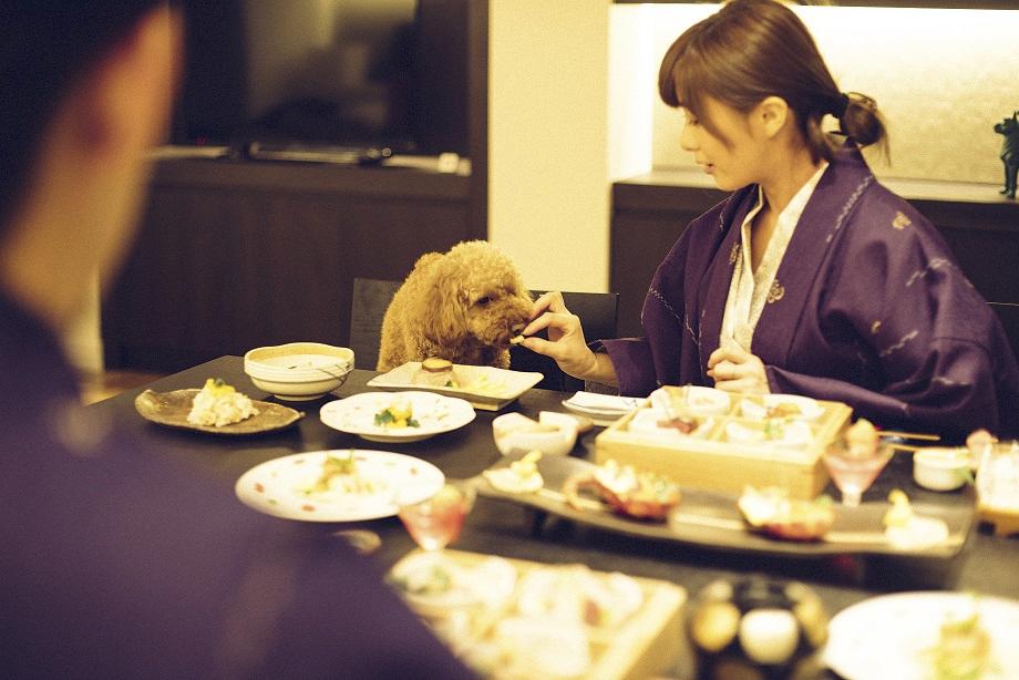 部屋でいただく会席料理。もちろんわんこメニューもあり！