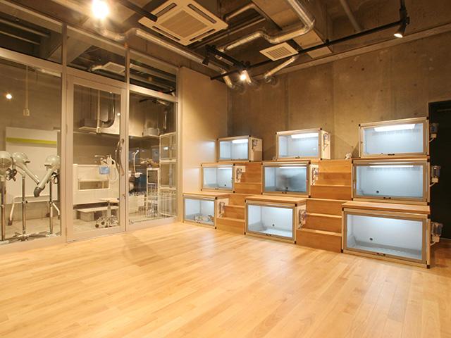 トリミング室はガラス張りなのでわんこの様子を見ることができます。